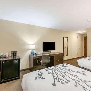 Standard Queen Room Two Queen Beds Non-Smoking